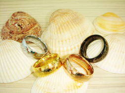 珠寶飾品行業(yè)情人節(jié)專場秀 璀璨獻禮，展示產(chǎn)品贏豐厚獎勵